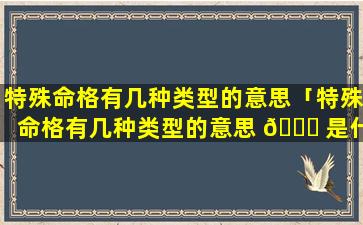 特殊命格有几种类型的意思「特殊命格有几种类型的意思 🐘 是什么」